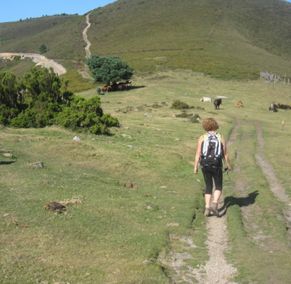 Camino de Santiago